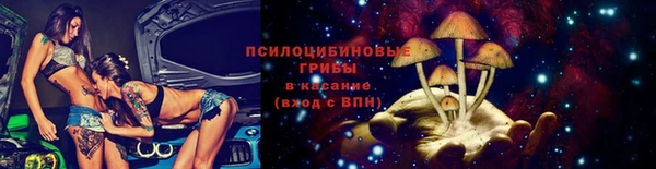 ПСИЛОЦИБИНОВЫЕ ГРИБЫ Наволоки