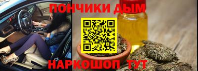 индика Аргун