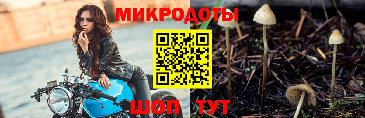 где продают наркотики  Галлюциногенные грибы GOLDEN TEACHER  Вход с VPN  Каменка 